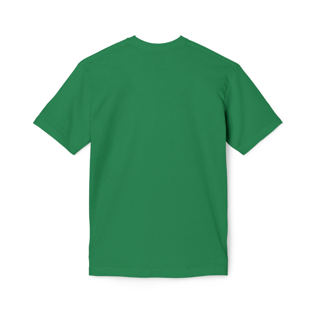 St Patrick - Spreading the Gospel